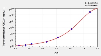 Human FOXC2 ELISA Kit