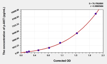 Human Phospho AKT S473 (p-AKT) ELISA Kit