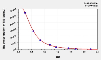 Human KS(Keratan Sulfate) ELISA Kit