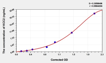 Human Potassium Chloride Cotransporters 2 (KCC2) ELISA Kit