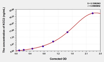 Rat KCC2(Potassium Chloride Cotransporters 2) ELISA Kit