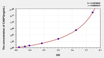 Rat CASP3 ELISA Kit