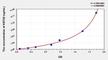 Human Keratin 20 (KRT20) ELISA Kit