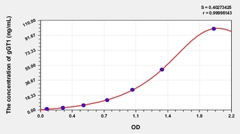 Human gGT1 ELISA Kit