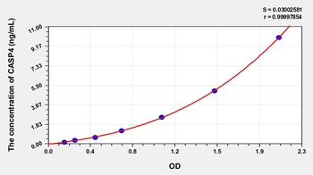 Human Caspase 4 (CASP4) ELISA Kit