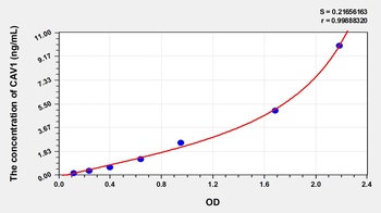 Rat CAV1 ELISA Kit