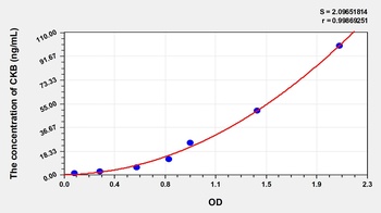 Human CKB ELISA Kit