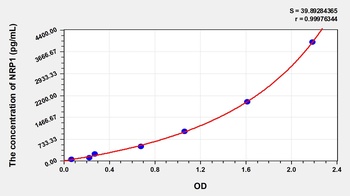 Human NRP1 ELISA Kit