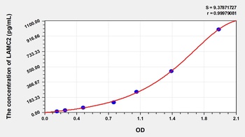 Human LAMC2 ELISA Kit