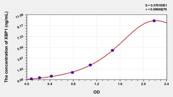 Human XBP1 ELISA Kit