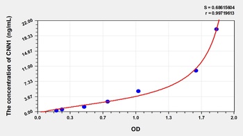 Human Calponin 1, Basic (CNN1) ELISA Kit