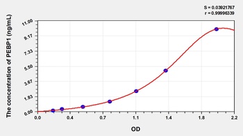 Human PEBP1 ELISA Kit