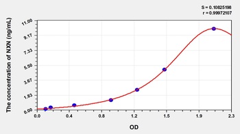 Human NXN ELISA Kit