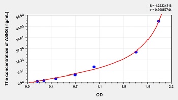 Human ASNS ELISA Kit