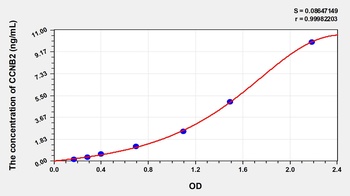 Human Cyclin B2 (CCNB2) ELISA Kit