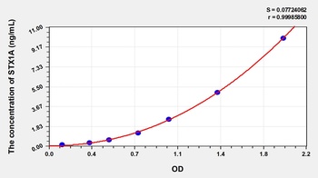 Human STX1A ELISA Kit