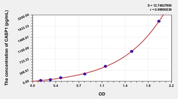 Mouse CASP1 ELISA Kit