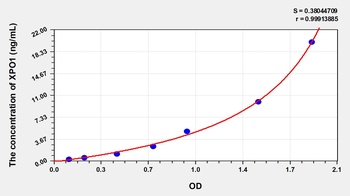 Human XPO1 ELISA Kit