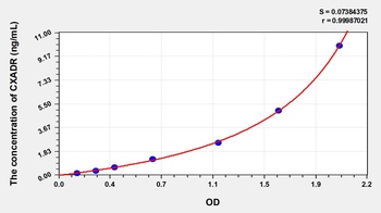 Human Coxsackie Virus and Adenovirus Receptor (CXADR) ELISA Kit
