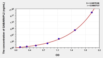 Human GABARAPL2 ELISA Kit