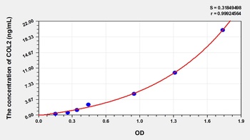 Rabbit Collagen Type II (COL2) ELISA Kit