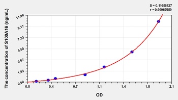 Human S100A16 ELISA Kit