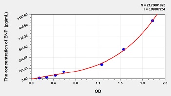 Rat Brain Natriuretic Peptide (BNP) ELISA Kit