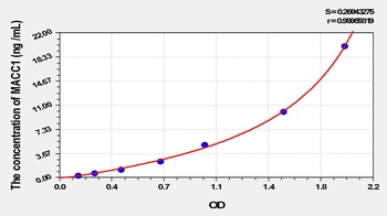 Human Metastasis Associated in Colon Cancer 1 (MACC1) ELISA Kit