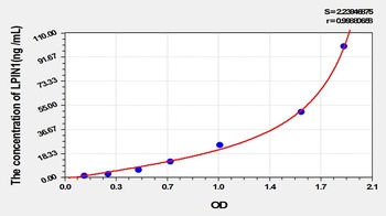 Rat Lipin 1 (LPIN1) ELISA Kit