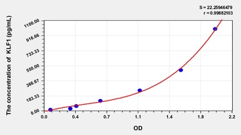Mouse Kruppel Like Factor 1, Erythroid (KLF1) ELISA Kit
