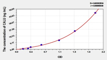 Rat CALU ELISA Kit