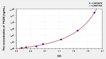 Human Peroxidasin Homolog (PXDN) ELISA Kit