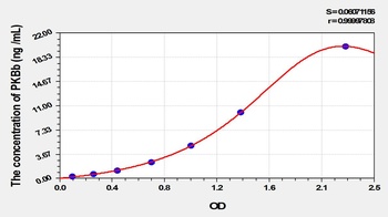 Rat PKBb ELISA Kit