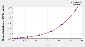 Rat Hepatocyte Nuclear Factor 1 Beta (HNF1b) ELISA Kit
