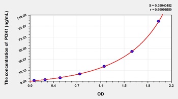 Rat PDK1 ELISA Kit