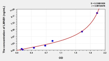 Human Lamin B1 (LMNB1) ELISA Kit