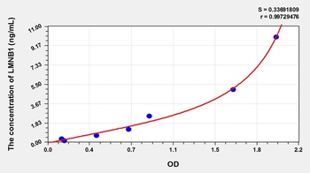 Human LMNB1 ELISA Kit