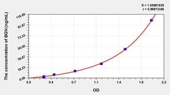 Rat BGN ELISA Kit