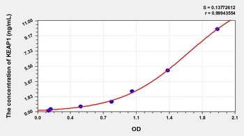 Mouse Kelch Like ECH Associated Protein 1 (KEAP1) ELISA Kit