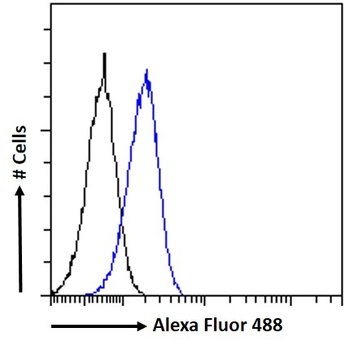 Goat anti-DKK1 Antibody