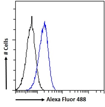 DKK1 antibody