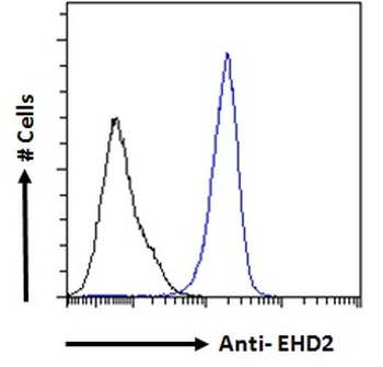 EHD2 antibody