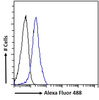 Goat anti-SEMA3E Antibody