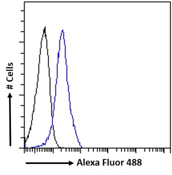 SEMA3E antibody