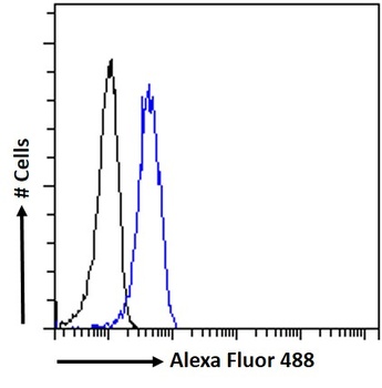 Goat anti-PSCA (aa27-40) Antibody