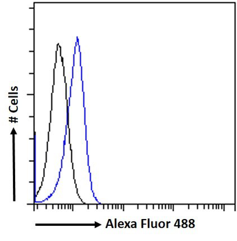 PLA2R1