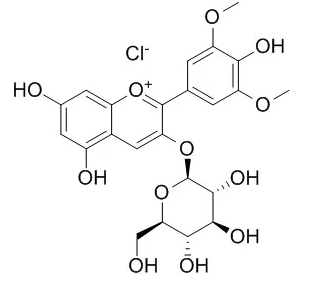 Malvidin-3-O-glucoside chloride