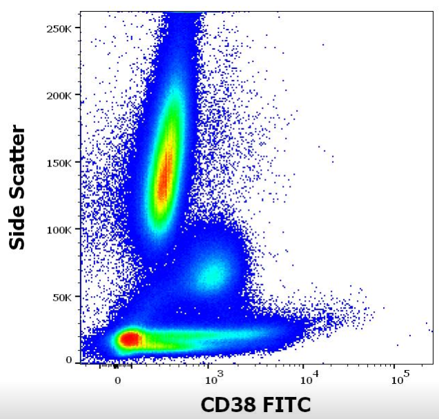Anti-Hu CD38 FITC