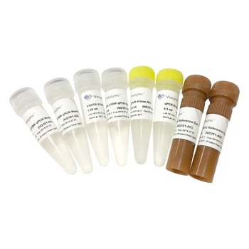 Vazyme - VAHTS Library Quantification Kit for Illumina DNA Standard 1 - 6