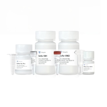 FastPure Viral DNA/RNA Mini Kit Pro